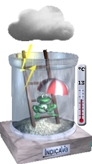 Froggy Screenshot